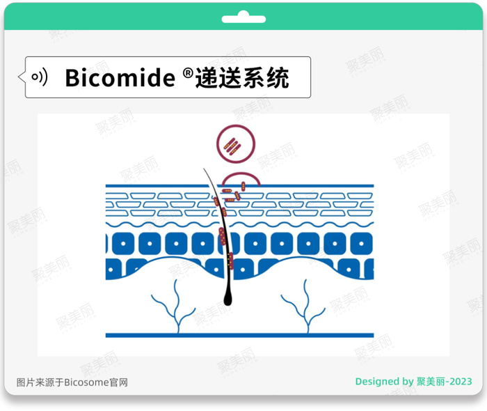 管家婆马报图今晚