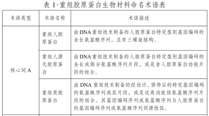 管家婆马报图今晚