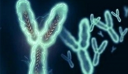 人类最后一条完全解码的染色体，给我们带来了什么信息？