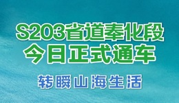 正式通车！奉化滨海链接宁波主城的快速通道来了