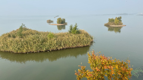 山东泰安：大河安澜助推地域发展