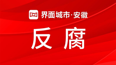 安徽省委第一巡视组原组长孟庆银被开除党籍