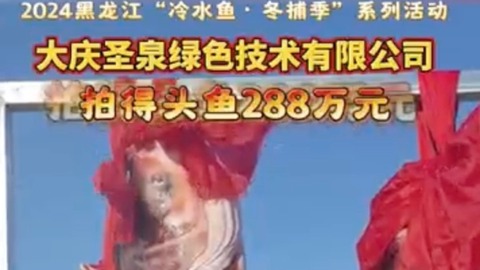 2024黑龍江“冷水魚·冬捕季”啟幕！