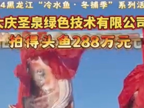 2024黑龍江“冷水魚·冬捕季”啟幕！