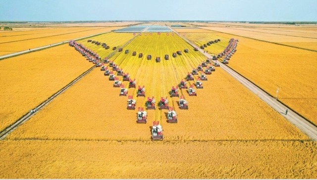 黑龙江省412个主要农作物新品种通过初审