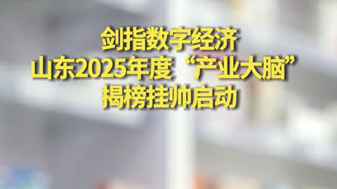 山东2025年度“产业大脑”揭榜挂帅启动