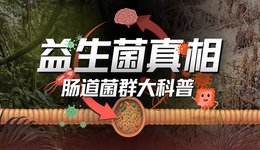 益生菌真相：全面复盘肠道健康迷思