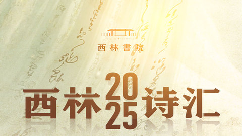“把生活写成诗，让微光耀星空” 2025西林诗汇来征稿啦！