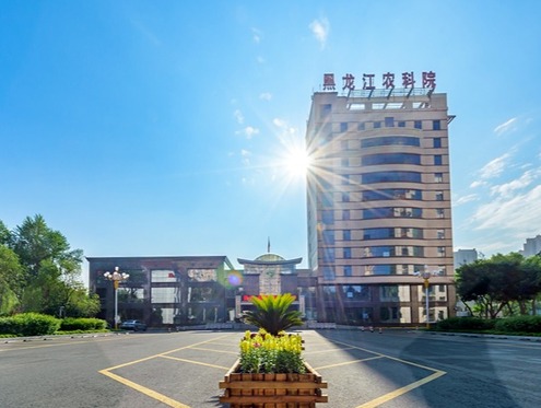 社会眼｜两次刷新纪录背后的“农业科创密码”