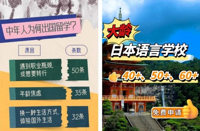 中老年“教育+旅游”需求激增 企业抢跑新赛道