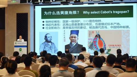 AI预警、无人机巡护，科技守护“国宝”家园