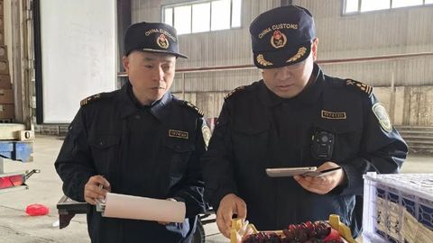 优化营商环境 牡丹江海关助力地产水果出口量质双升