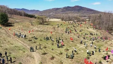 “三绿”并举添新色 筑牢根基护林海