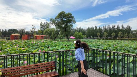 2025CDGC飞盘高尔夫巡回赛哈尔滨站圆满落幕