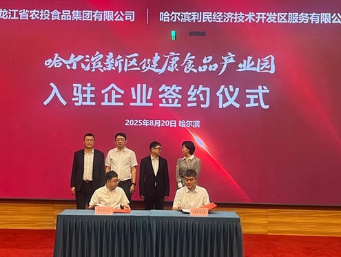 “龙江纬度”桦树汁项目落地哈尔滨新区