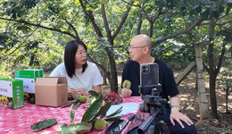 河北迁安：探索“党建+电商人才”模式驱动高质量发展