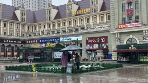 年租6.6万，索菲亚广场“鸽子投喂区”背后的微观账本