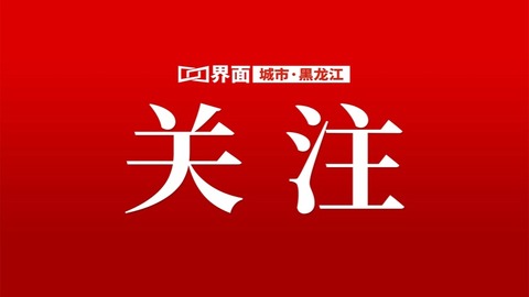 王合生调研闲置资产盘活利用和项目建设工作