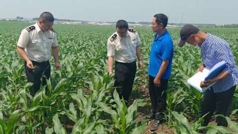 冰城海关多举措保障农食产品出口全链条畅通