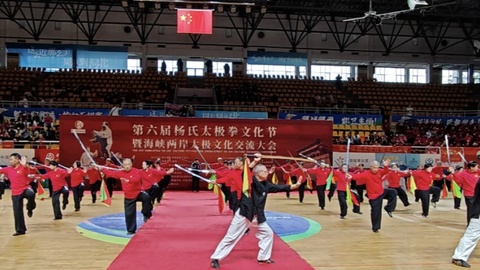 2025年第六届杨氏太极拳文化节暨第六届海峡两岸太极拳文化交流大会举行
