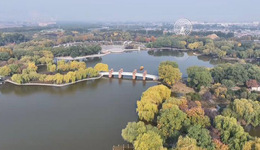 石家庄市植物园：别错过，多彩秋叶进入最佳观赏期