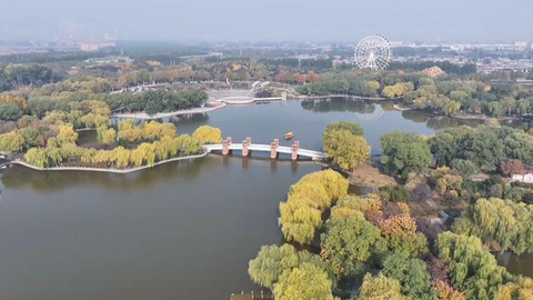 石家庄市植物园：别错过，多彩秋叶进入最佳观赏期