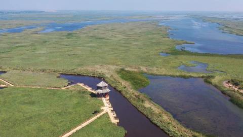 时评 | 满慎刚调研关注“绿”与“新”，东营如何重塑石油城基因？