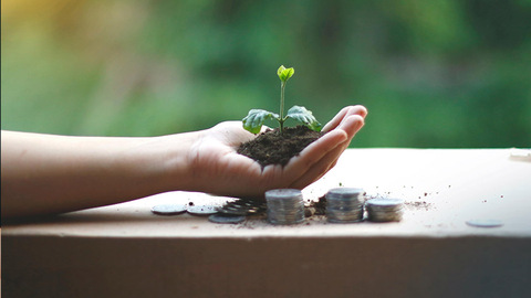 邯郸市构建绿色金融体系 推动经济转型发展