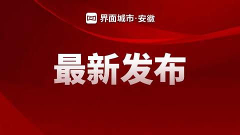 2025安徽百强企业榜单发布