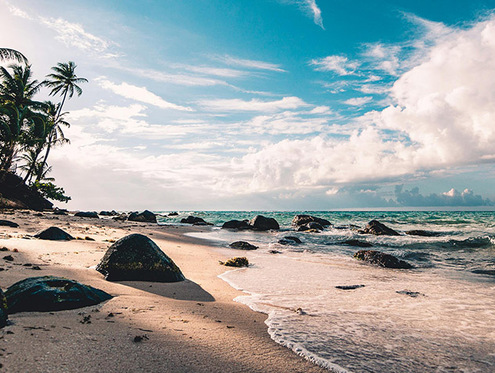 秦皇岛市三案例入选2025年河北省文化和旅游数字化创新实践案例