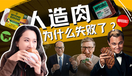 “人造肉”千亿赛道的坍塌：资本的幻想与精英主义的泡沫