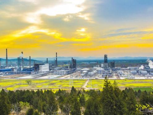 智创善城，向新而行，滕州以科创赛事激活产业动能