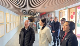 打造“城厢学”构建文化传承新范式，李后强赴青白江调研